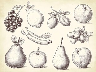 手绘水果插画集合