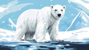 北极冰原上的北极熊