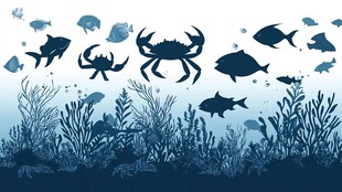 海底世界 鱼蟹共舞的图景