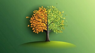 秋夏双色树 自然之美