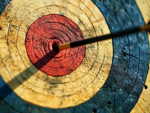 箭中靶心的精彩瞬间