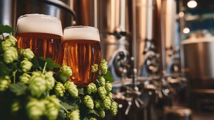 精酿啤酒与新鲜啤酒花