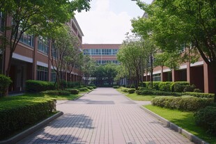 校园林荫道的清新景致