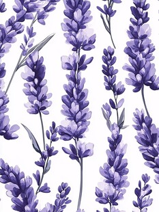 手绘紫色薰衣草花卉图案