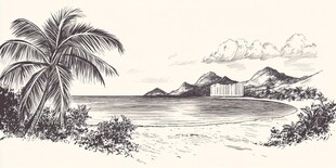 海岸风光手绘椰子树美景