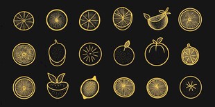 金色柑橘类水果图标集合