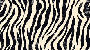 黑白斑马纹图案纹理背景