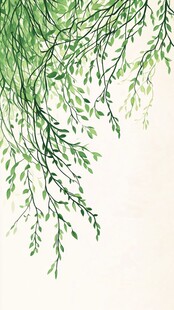 垂落的嫩绿柳枝插画
