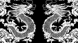 双龙戏云海中式图腾