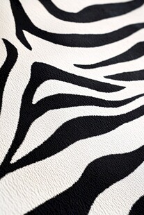 斑马纹纹理特写