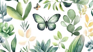 水彩绿植蝴蝶装饰图案