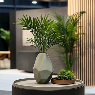 几何花瓶中的精致绿植