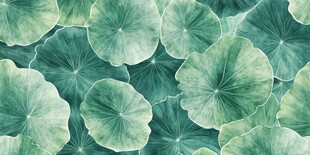 清新荷叶图案背景纹理