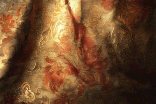 古典华丽花纹布料特写