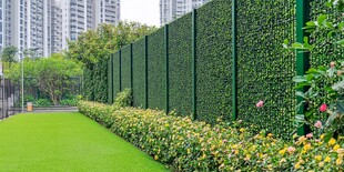 城市中的绿植围墙景观