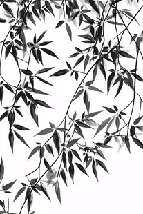 水墨竹叶图