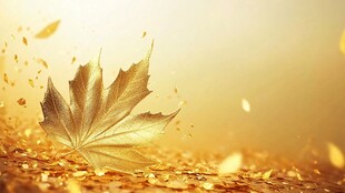 金色枫叶飘落的唯美秋景