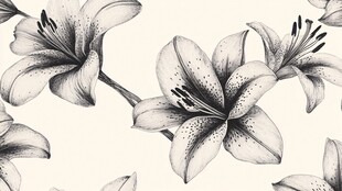 手绘百合花黑白花卉图案