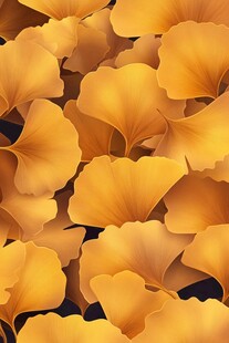 金黄银杏叶的绚丽图案