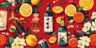 柑橘主题酒品插画赏