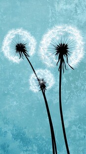 梦幻蓝背景下的蒲公英