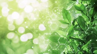 清新绿叶与科技光效背景