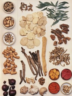 多样中药材展示