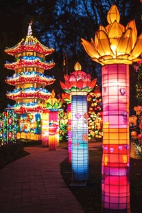 绚丽多彩的中式花灯夜景
