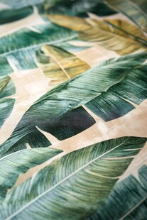 热带芭蕉叶图案精美纹理