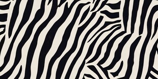 斑马纹图案 时尚纹理背景