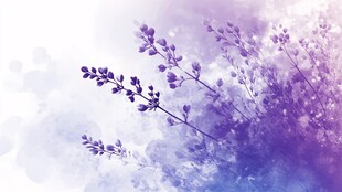 梦幻紫色薰衣草水彩背景