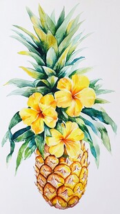水彩绘菠萝配艳丽黄花