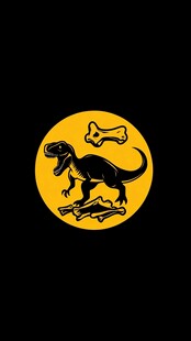 恐龙与骨的神秘图案