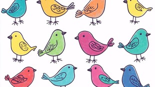 多彩手绘小鸟图案集合