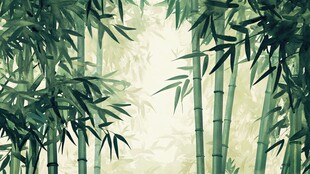 翠绿竹林间 清幽自然景