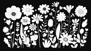 黑白花卉图案插画