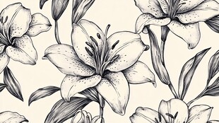 黑白百合花图案精美插画