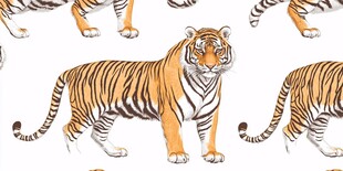 老虎图案 水彩风动物纹理