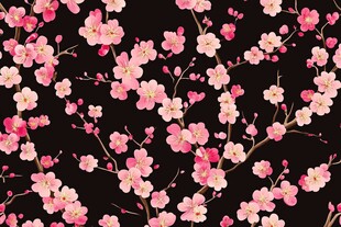 黑色背景粉色樱花图案