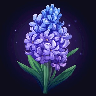 梦幻蓝紫色风信子插画