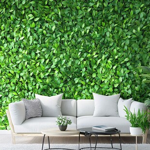 绿意盎然的室内绿植墙景观