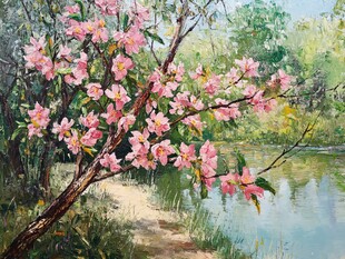 湖畔盛开的烂漫粉色花枝