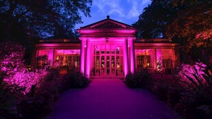 梦幻紫韵夜景中的雅致建筑