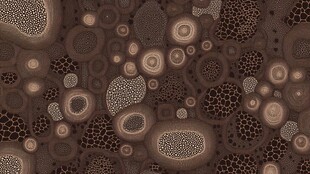 棕色多孔纹理图案背景