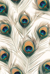 孔雀羽毛精美图案纹理