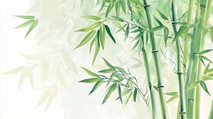 清新翠竹背景图