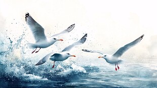 海鸥翔于碧海浪花间