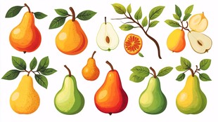 多样梨子插画集合
