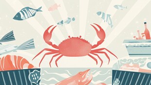 海洋美味 鲜活海鲜大赏