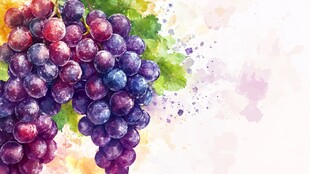 水彩绘就的缤纷葡萄串